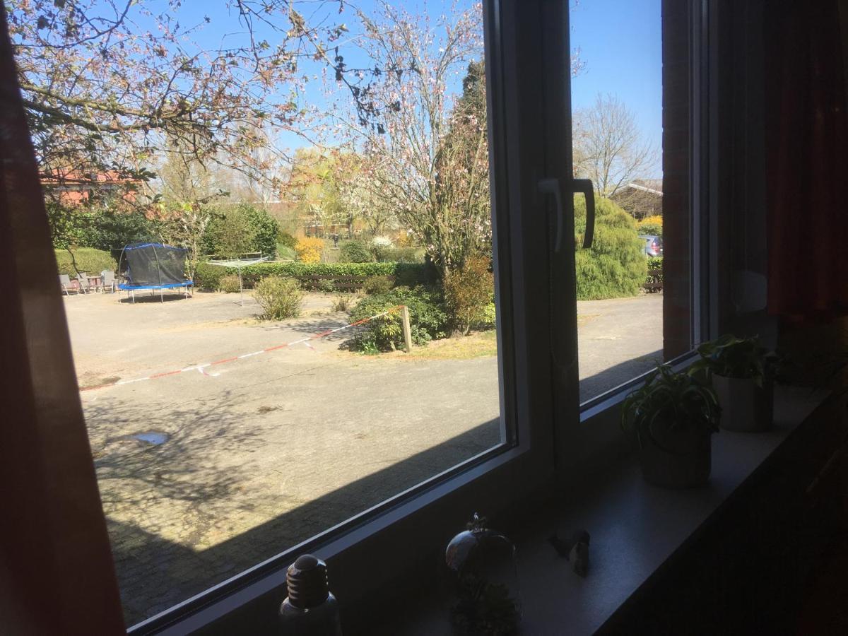 Ferienwohnung Tauchen Im Kreidesee, Keine Monteuerunterkunft Hemmoor 외부 사진